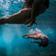 Illustration for article titled The beautiful and surreal sensuality of Sarah Lee's underwater photos